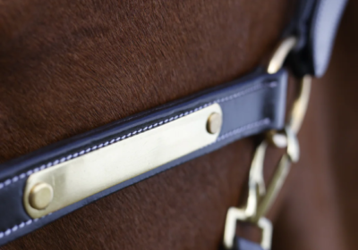 imgi_15_LeatherHalterBrown5