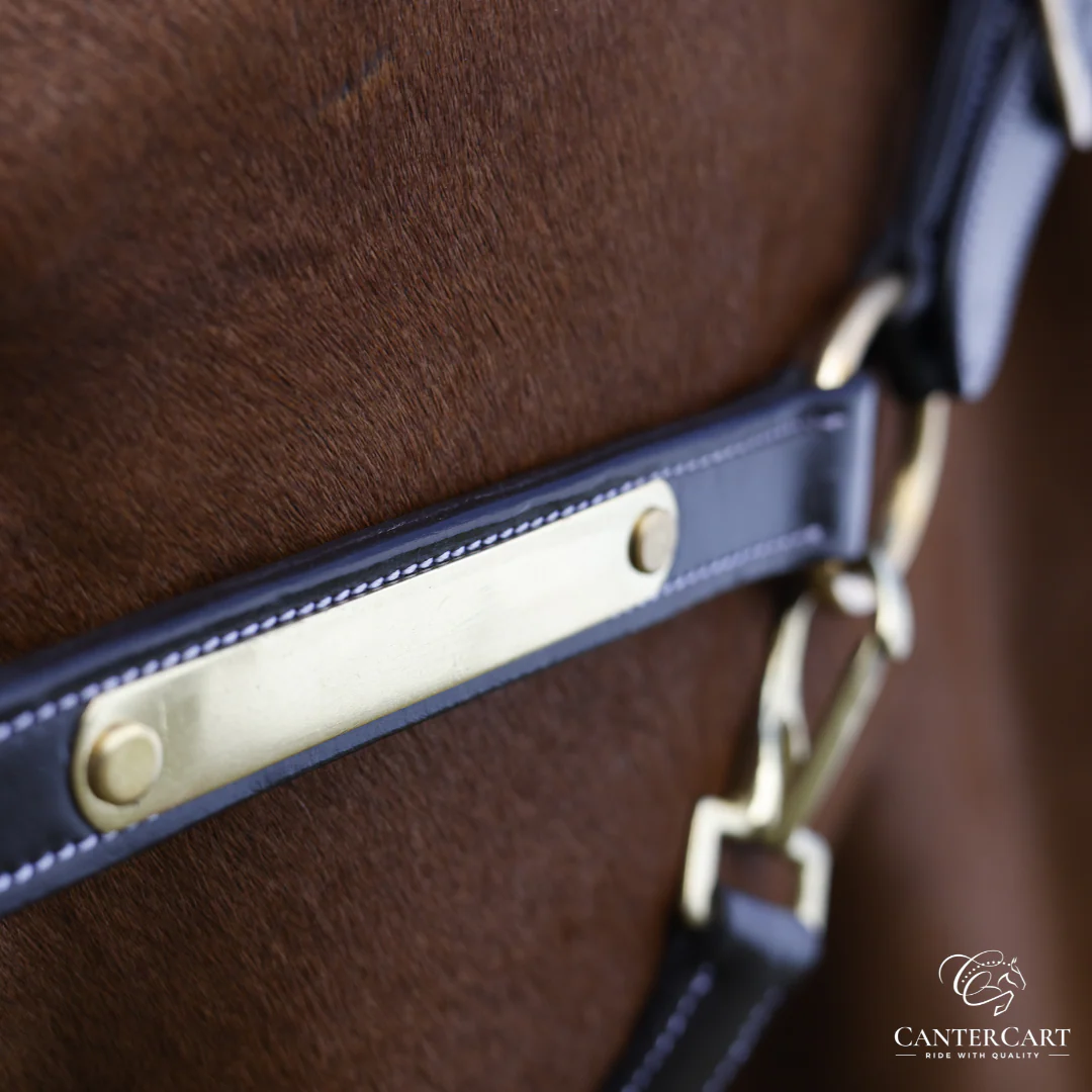 Premium Leather Halter for Horses | CanterCart