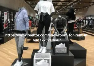 reeltor-2
