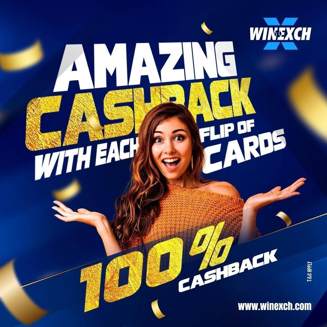 Winexch Keeping Fans Updated Daily