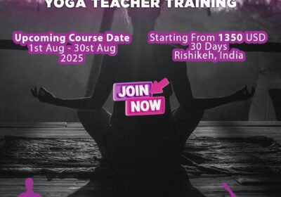 snapins-ai_3679438170509642992