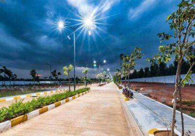 Adarsh-savana-1-3