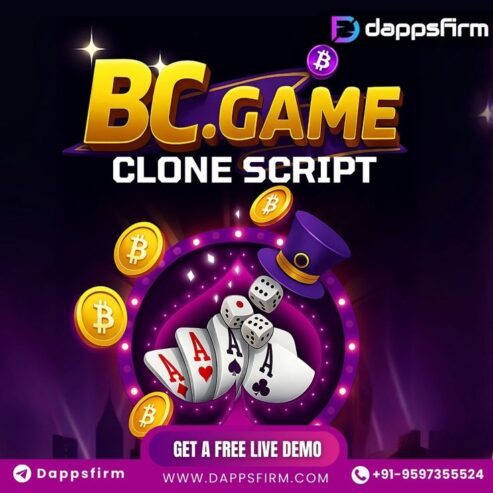 Empower Your Digital Casino Journey with BC.Game Clone Software at Minimal Cost