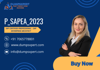 P_SAPEA_2023-1