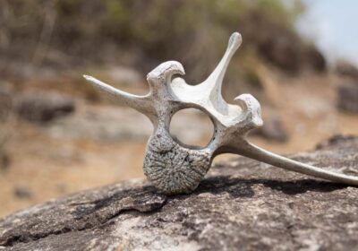 Screenshot-2025-10-27-170244