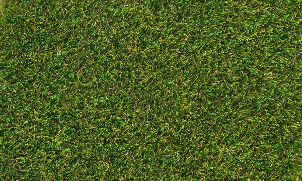 Indoor Artificial Grass Abu Dhabi | Natural Look