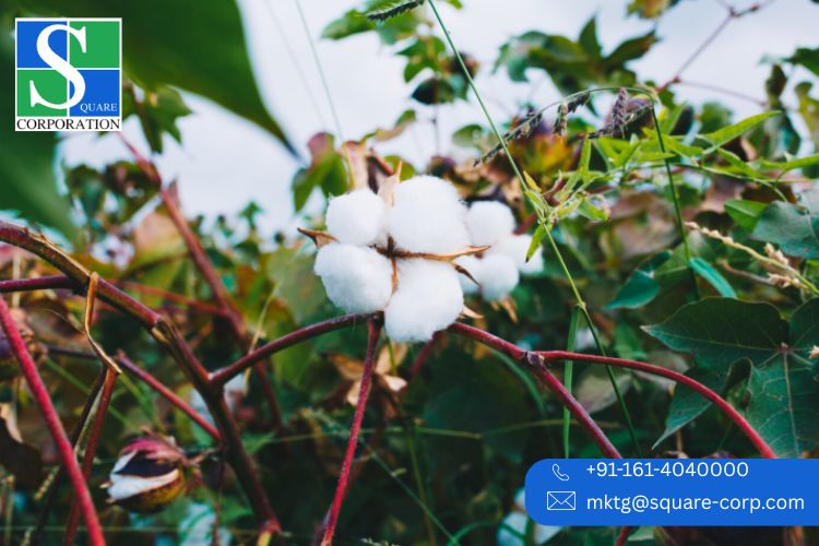 Top Wholesale Fabric Suppliers in India for Quality and Affordability