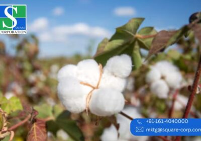 premium-linen-fabric-leaders-in-india