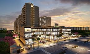 signature-global-signum-37d