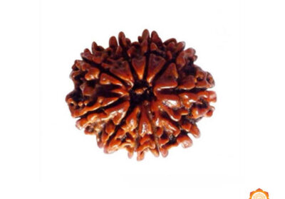 10-MUKHI-VEDIC-REALMS-1