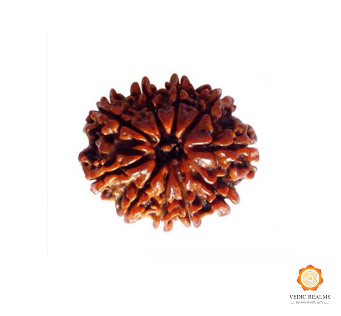 Get the Best Deal on 10 Mukhi Small Rudraksha Online