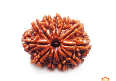 11-MUKHI-VEDIC-REALMS-1