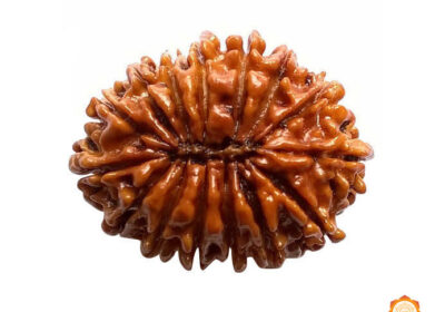 15-MUKHI-VEDIC-REALMS