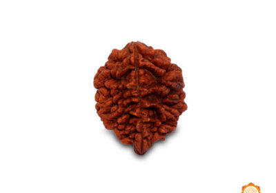 2-MUKHI-VEDIC-REALMS-1