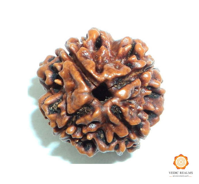 Buy Best Price of 4 Mukhi Rudraksha Online