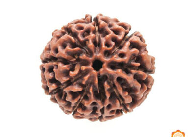 9-MUKHI-VEDIC-REALMS-1