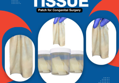 Bovine-Pericardial-Tissue-Patch-for-congenital-surgery