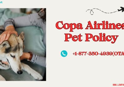 Copa-Airlines-Pet-Policy-3