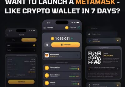 Dappsfirm-Metamask-Wallet-Clone-Script
