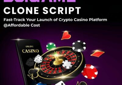 Hivelance-Bc.game-Clone-Script