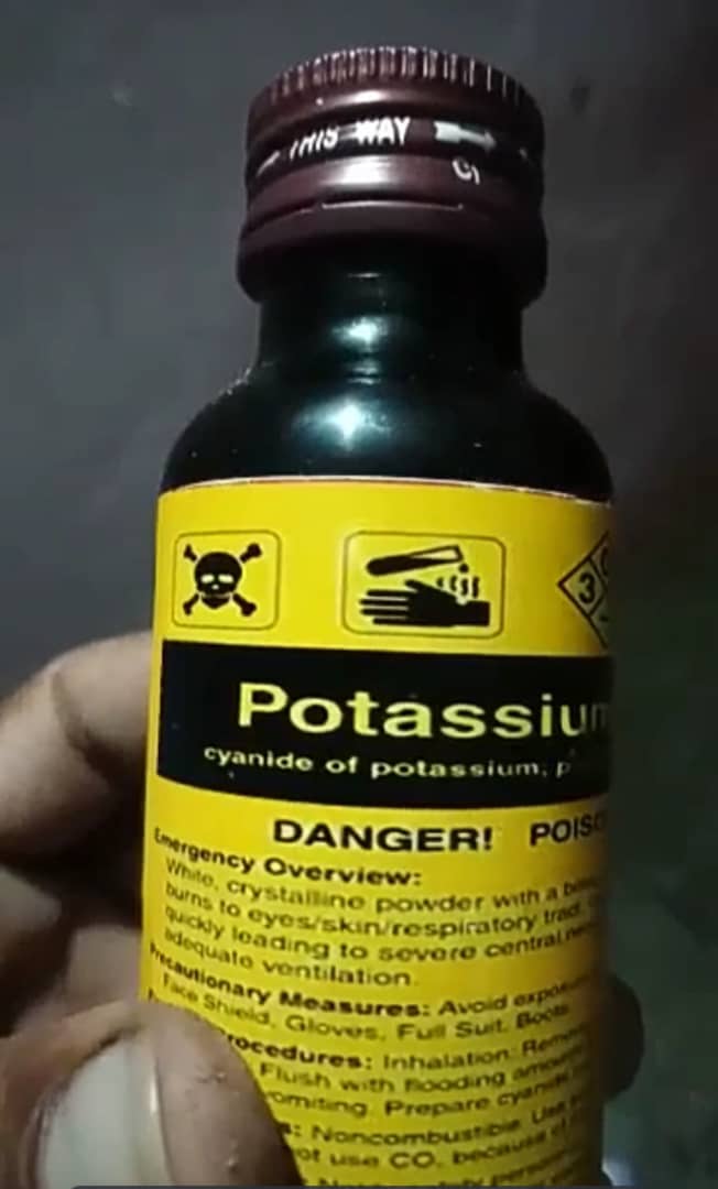 Cyanide and nembutal for a quick painless death(Euthanasia)