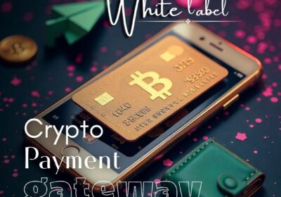 White-Label-Crypto-Payment-Gateway