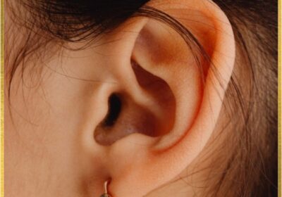 content_1731067212-1