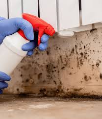 mold-removal