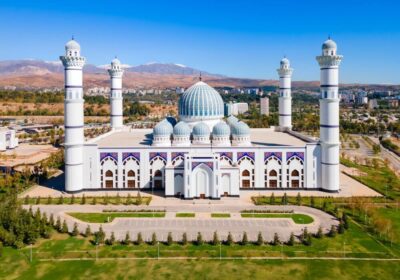 shutterstock_2534923885