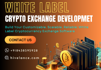 white-label-exchange-development