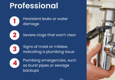 487458717_1101179812023376_1269517677019638138_n