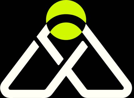 ASA Austin SEO Agency