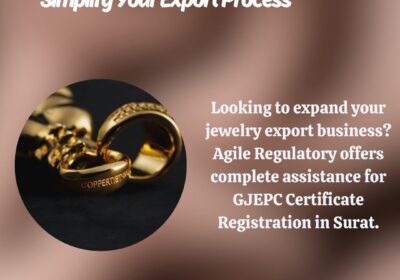 Access-the-GeM-Portal-The-Mandatory-e-Procurement-Platform-for-Government-Buyers