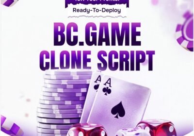 Bc.game-clone-script-2