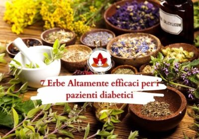 Erbe-per-abbassare-la-glicemia