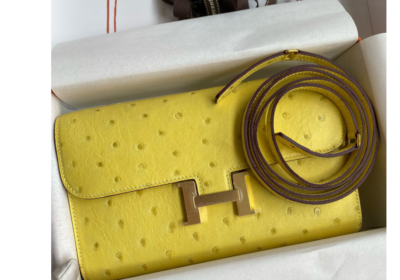 Hermes-Constance-To-Go-Wallet-in-Lime-KK-Ostrich-Leather-Replica