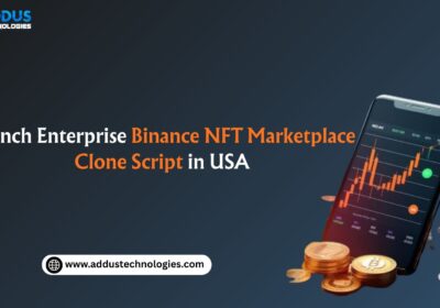 Launch-Enterprise-Binance-NFT-Marketplace-Clone-Script-in-USA