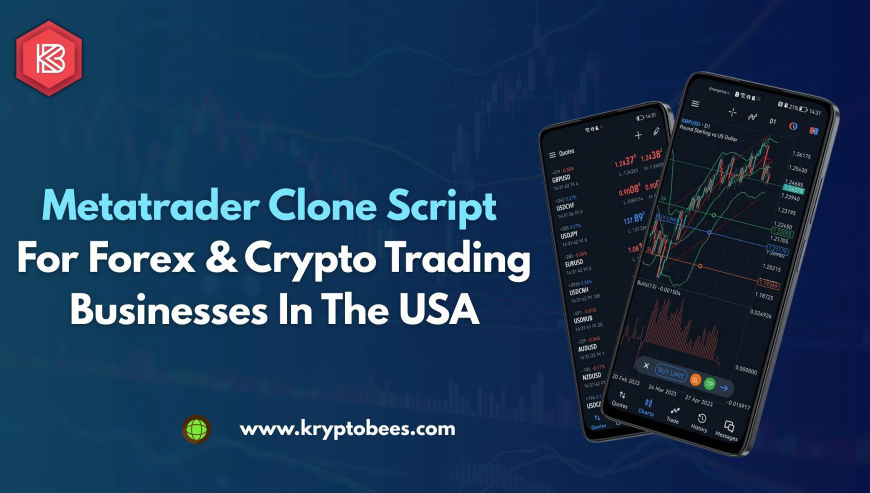 Metatrader Clone Script for Forex & Crypto Trading Businesses in the USA