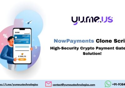 NowPayments-Clone-Script-High-Security-Crypto-Payment-Gateway-Solution