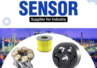 Professional-Seismic-Sensor-Supplier-for-Industry