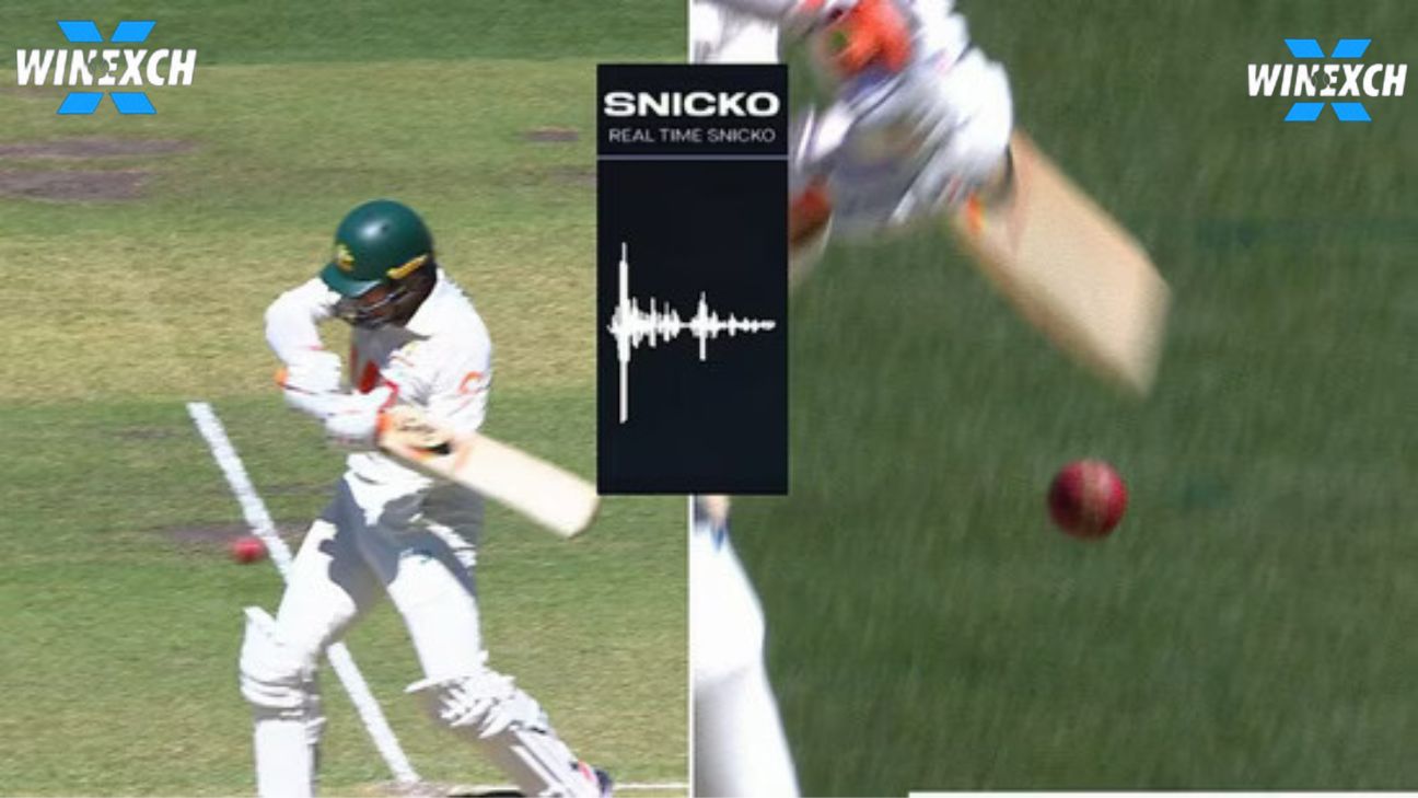 ICC Takes Action After Ashes Snicko Debate