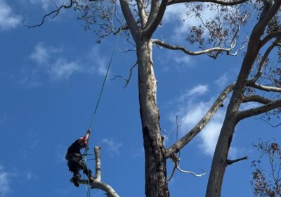 WhatsApp-Image-2024-12-18-at-18.49.36