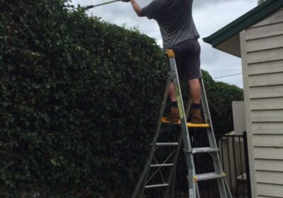 WhatsApp-Image-2024-12-18-at-19.16.55-1