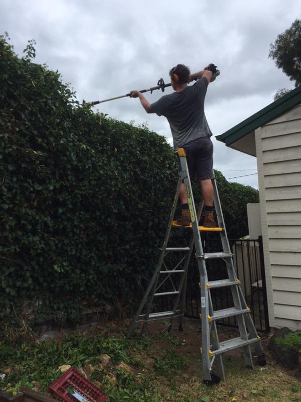 Landscaping and Hedging Services | Expert Garden Maintenance