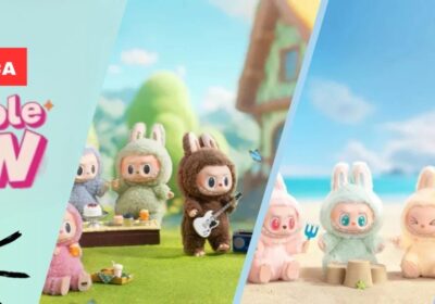 WhatsApp-Image-2025-09-01-at-12.11.35-PM-1536×571-1