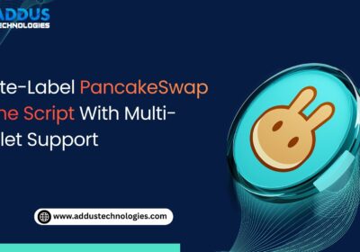 White-Label-PancakeSwap-Clone-Script-With-Multi-Wallet-Support