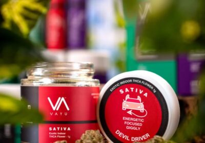 devil-driver-sativa-exotic-boutique-indoor-thca-flower-1g-ezgif.com-webp-to-jpg-converter