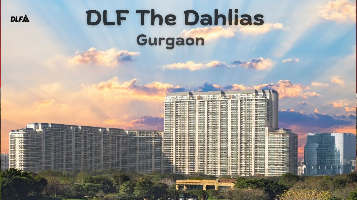 DLF The Dahlias -Residential Property Sector 54 Gurgaon