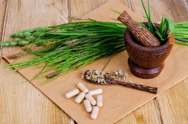 Building Long-Term PCOS Wellness Naturally