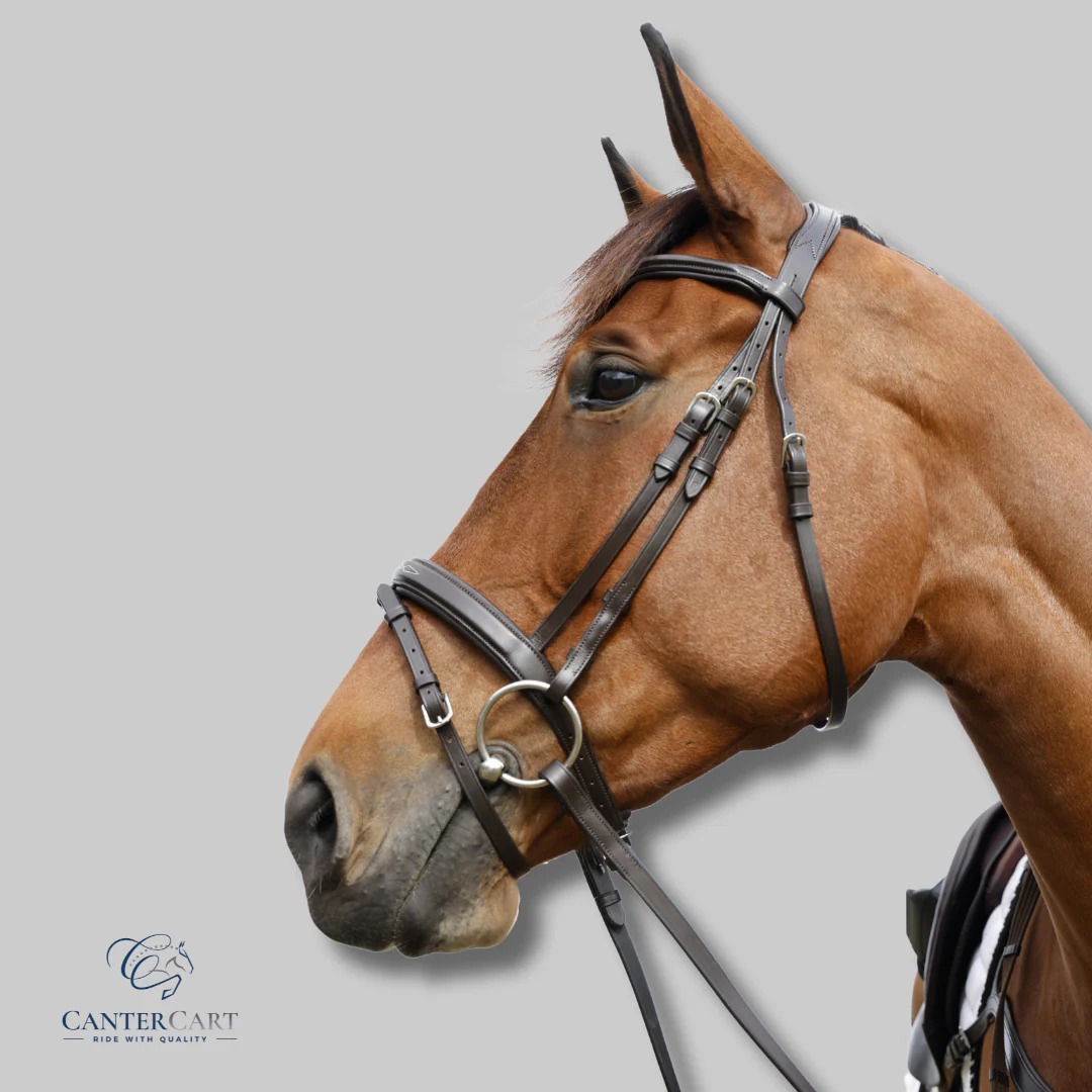 Affordable Horse Tack & Everyday Essentials | CanterCart